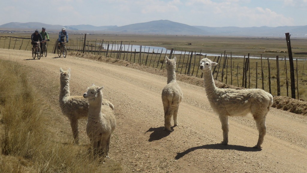 02. Huanchaco - Huancayo (118)