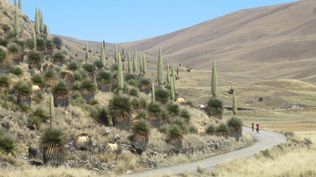 02. Huanchaco - Huancayo (142)