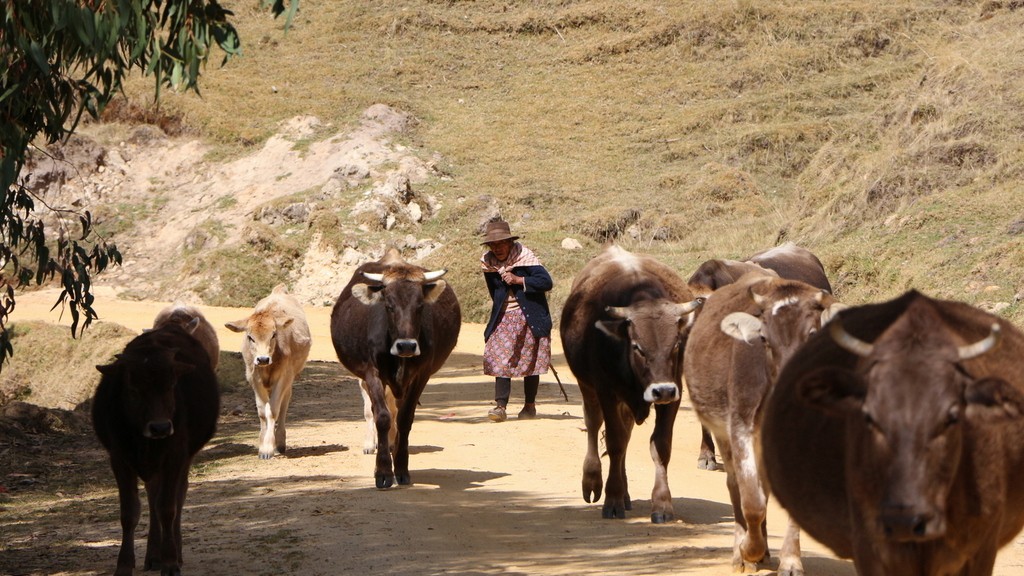 02. Huanchaco - Huancayo (149)