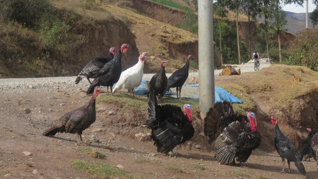 03. Huancayo - Cuzco (038)