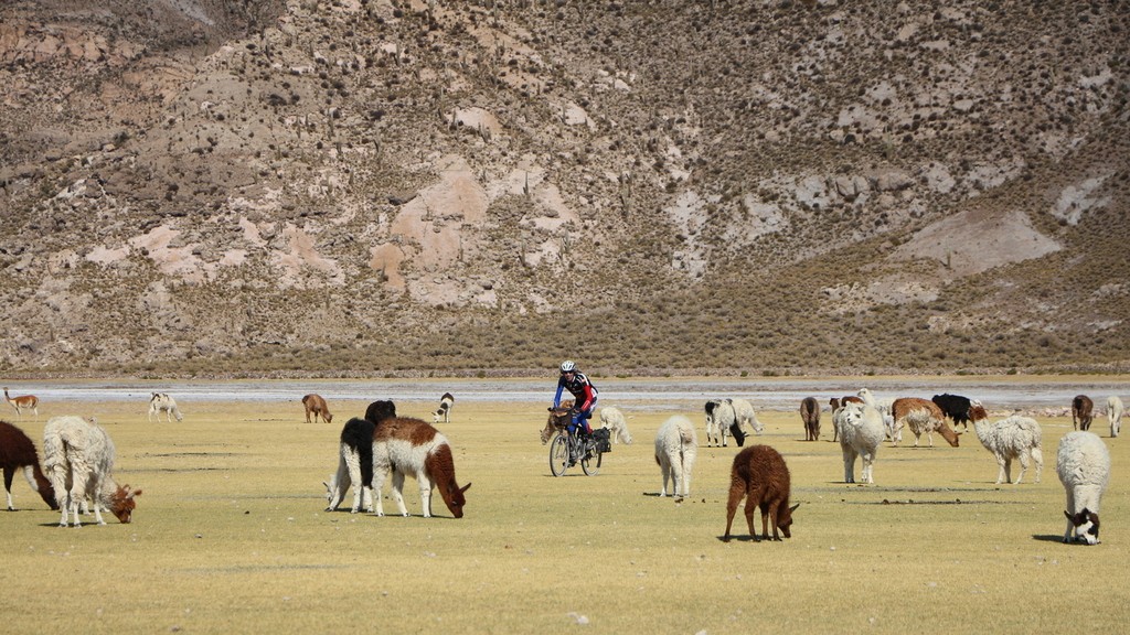 05b. Salar de Uyuni (024)