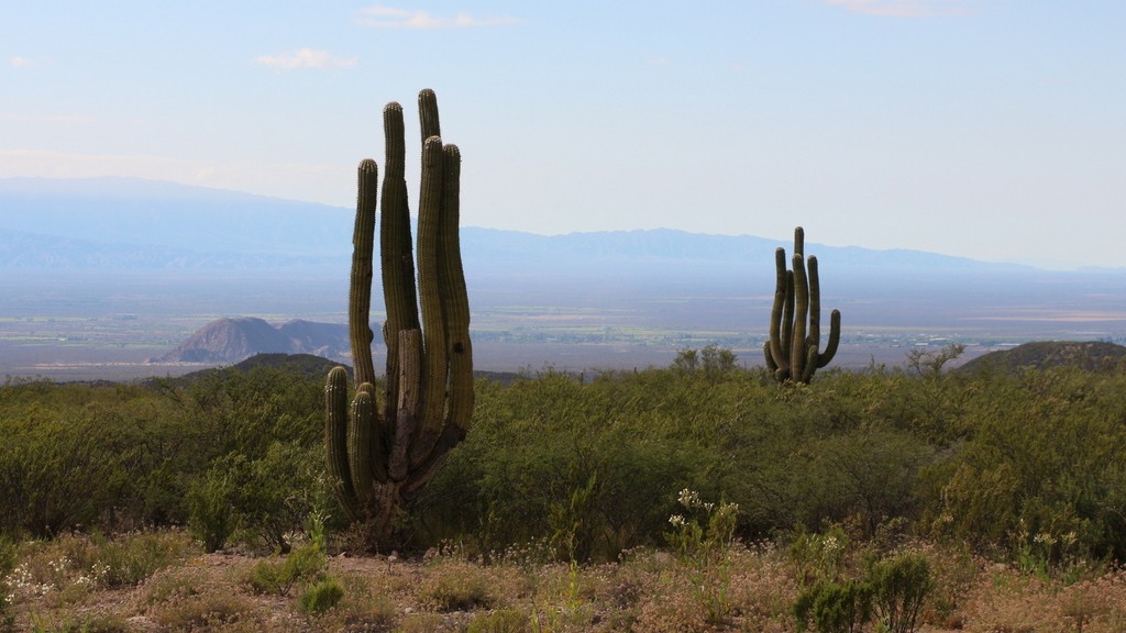 06. Salta - Mendoza (009)