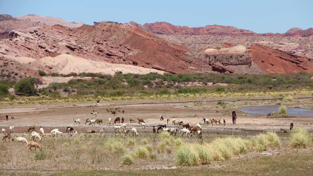 06. Salta - Mendoza (024)