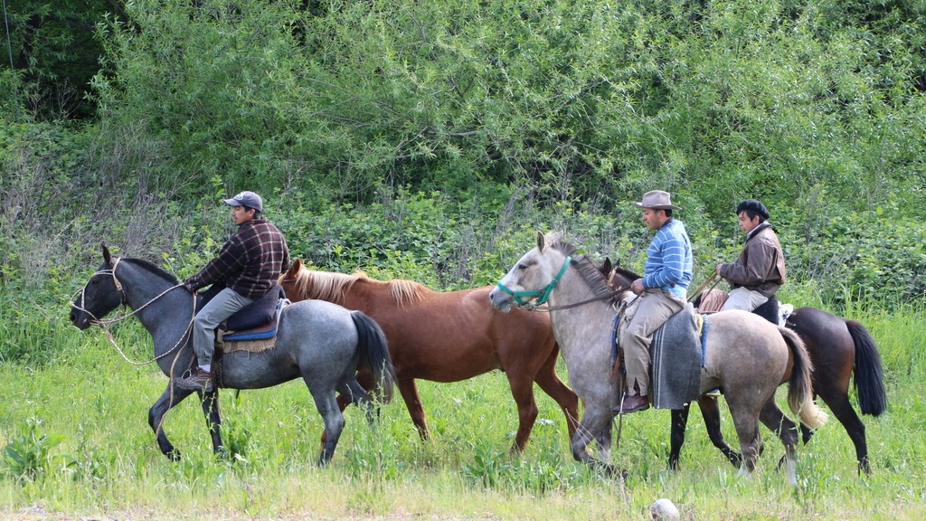 08. Bariloche - El Calafate (023)