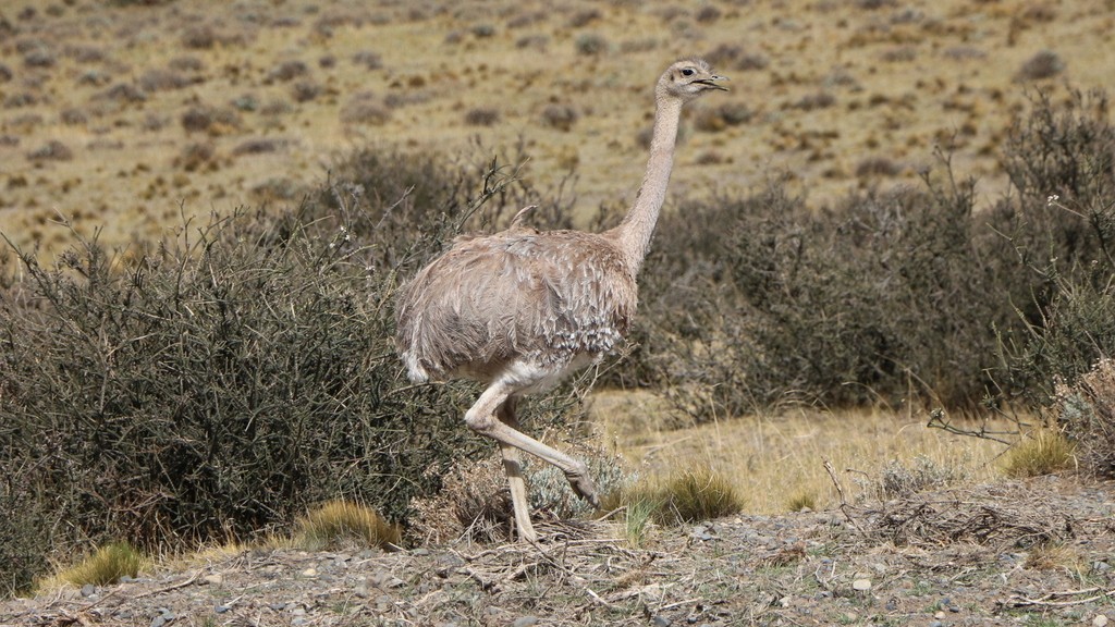 09. El Calafate - Ushuaia (004)