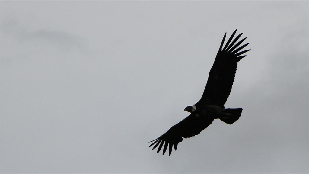 09. El Calafate - Ushuaia (043)