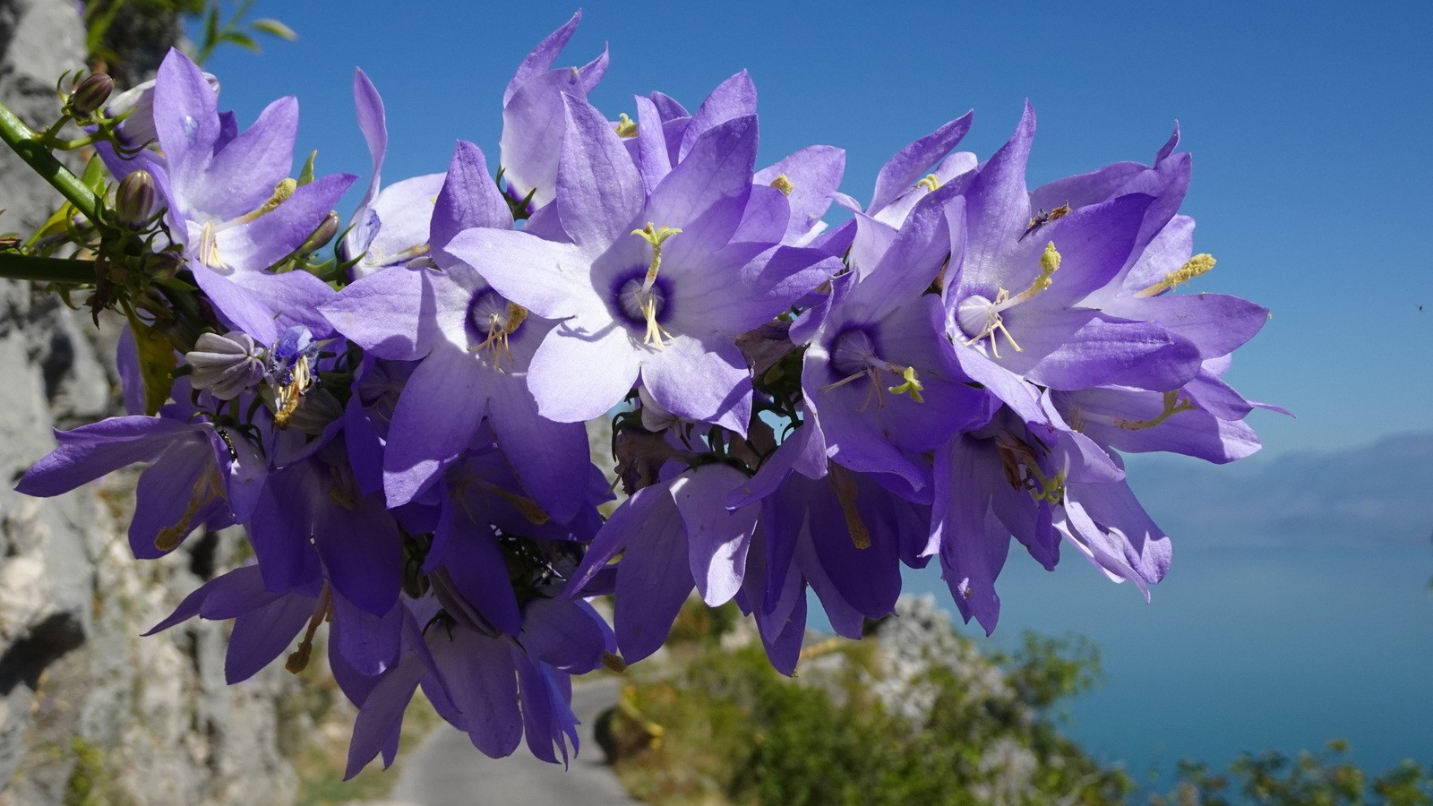 03. Montenegro (119)