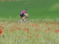 la_bella_italia_2008__north_101