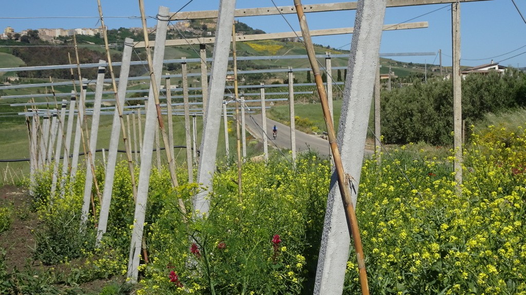 La Bella Italia 2017, South (156)