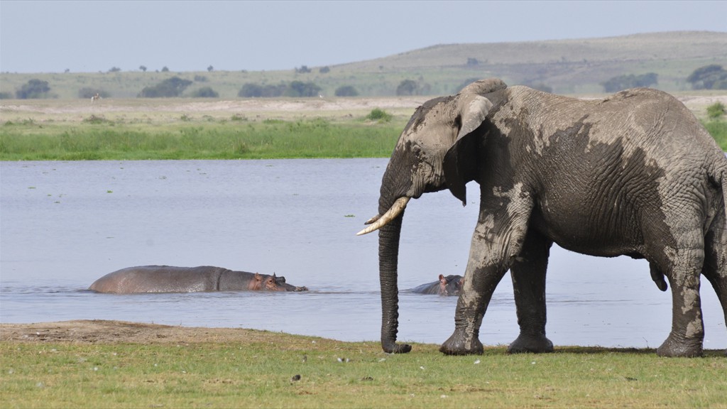 02. Amboseli NP (108)