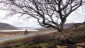 3. Gairloch - Inverness (104)
