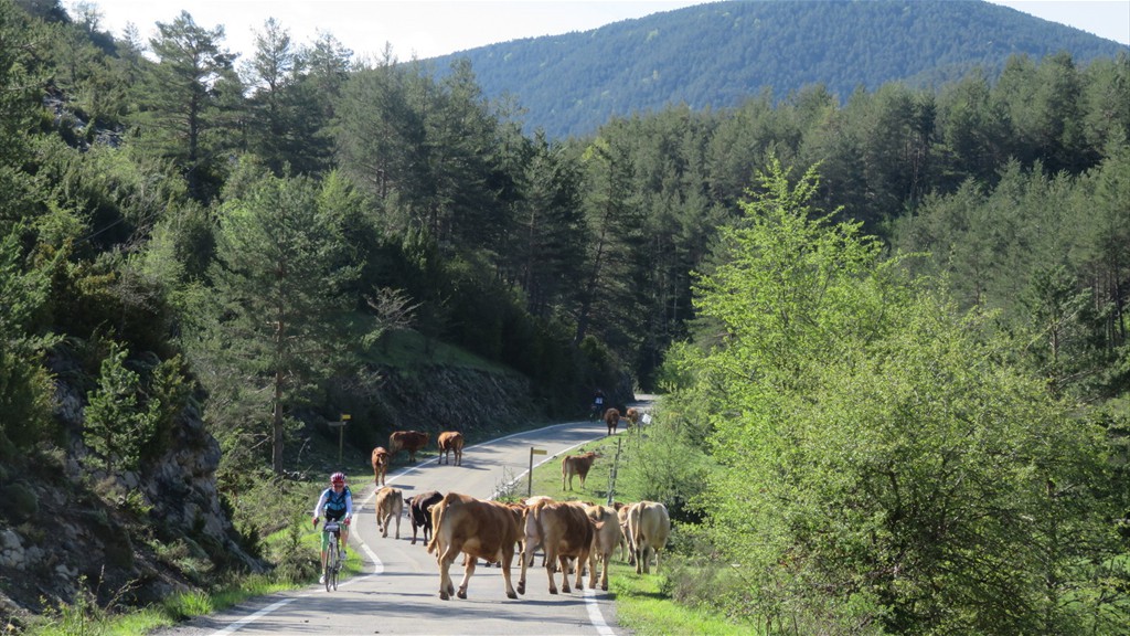 Slideshow Pyrenees 2018 (157)