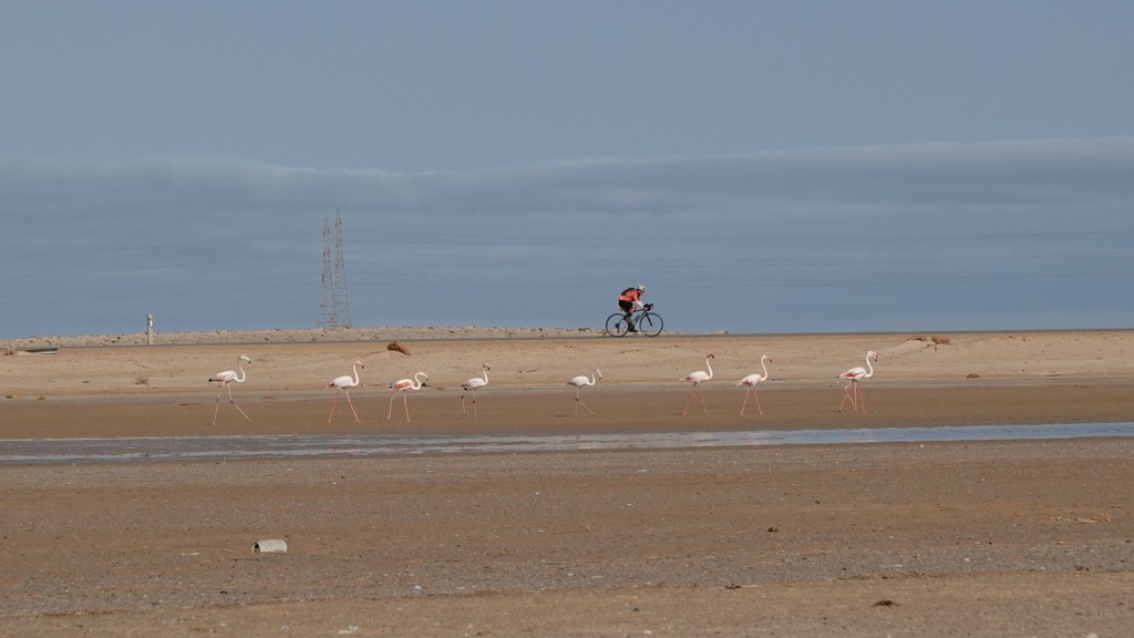 04. Western Sahara (107)
