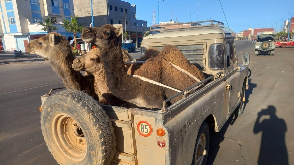 04. Western Sahara (125)