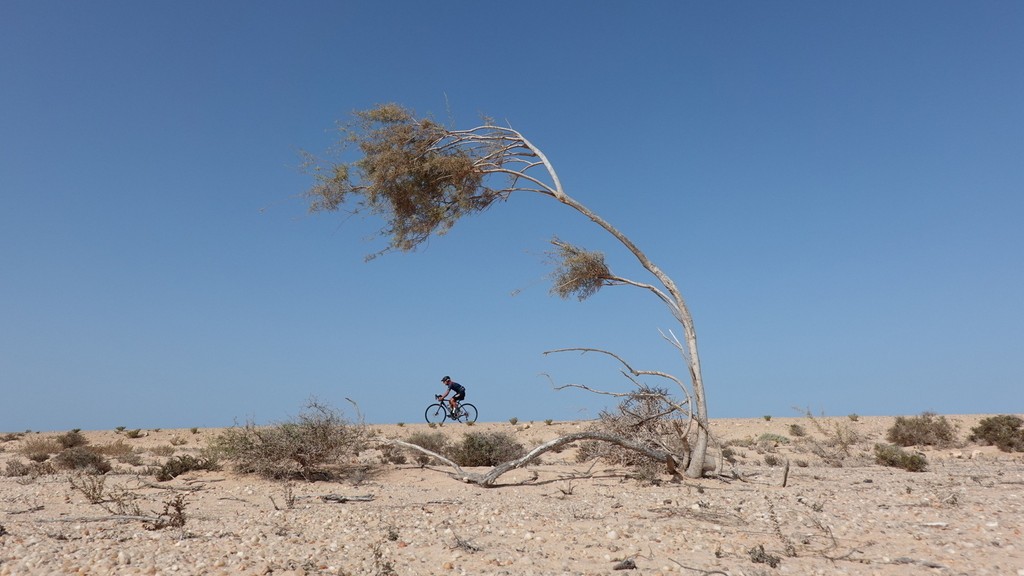 04. Western Sahara (138)
