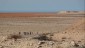 04. Western Sahara (103)