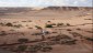 04. Western Sahara (114)
