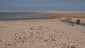 04. Western Sahara (143)