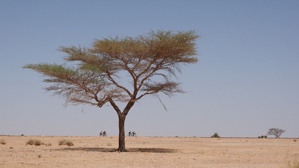 05. Mauritania (157)
