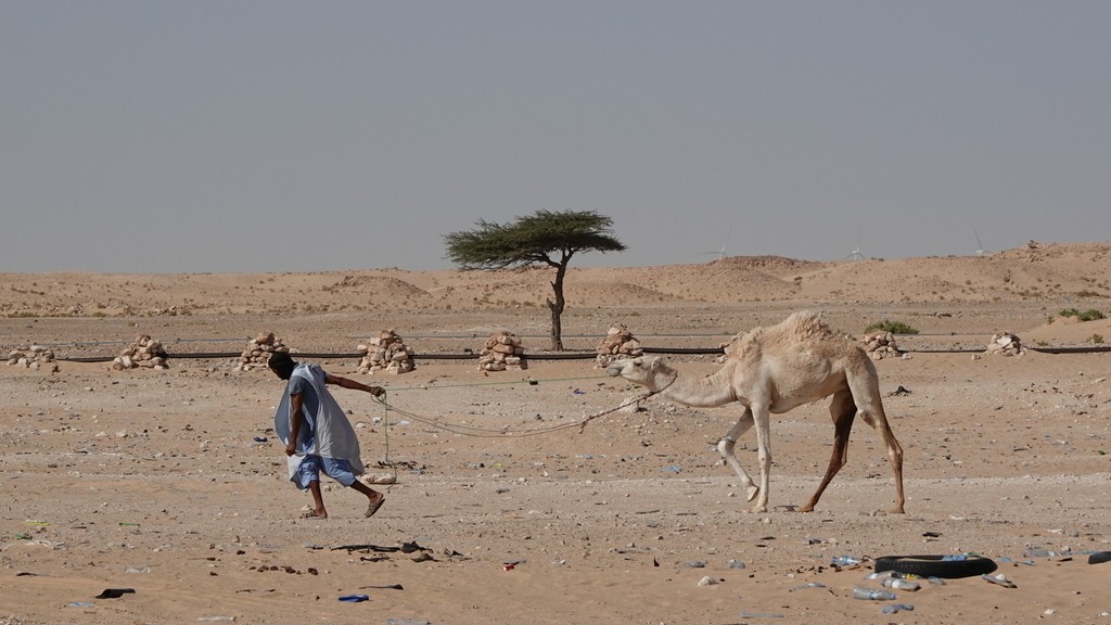 05. Mauritania (168)