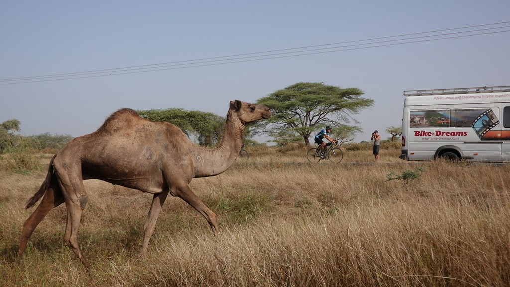 06. Senegal (110)