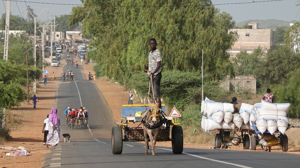 06. Senegal (120)