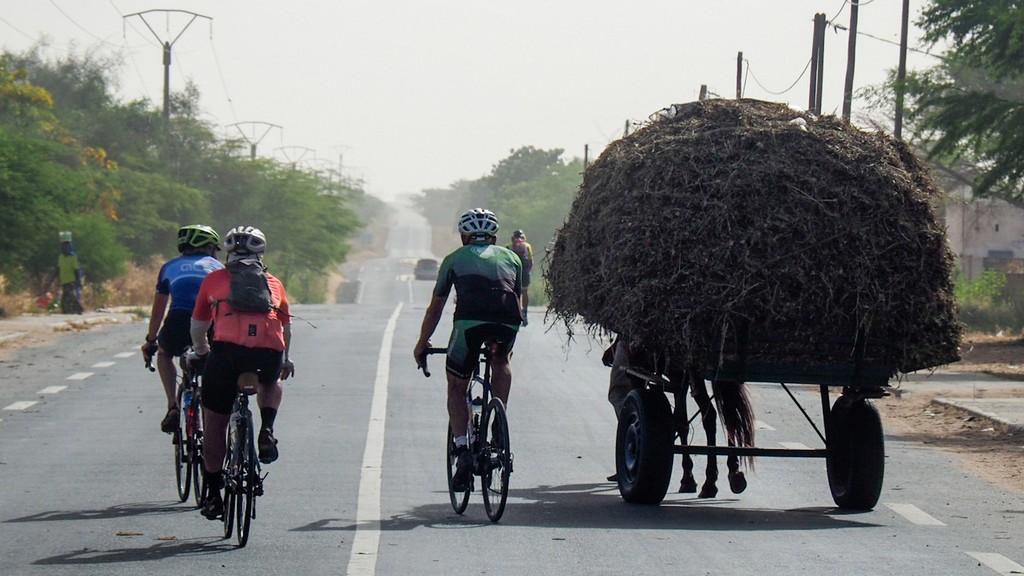 06. Senegal (132)