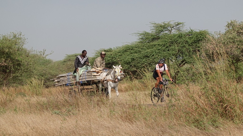 06. Senegal (145)