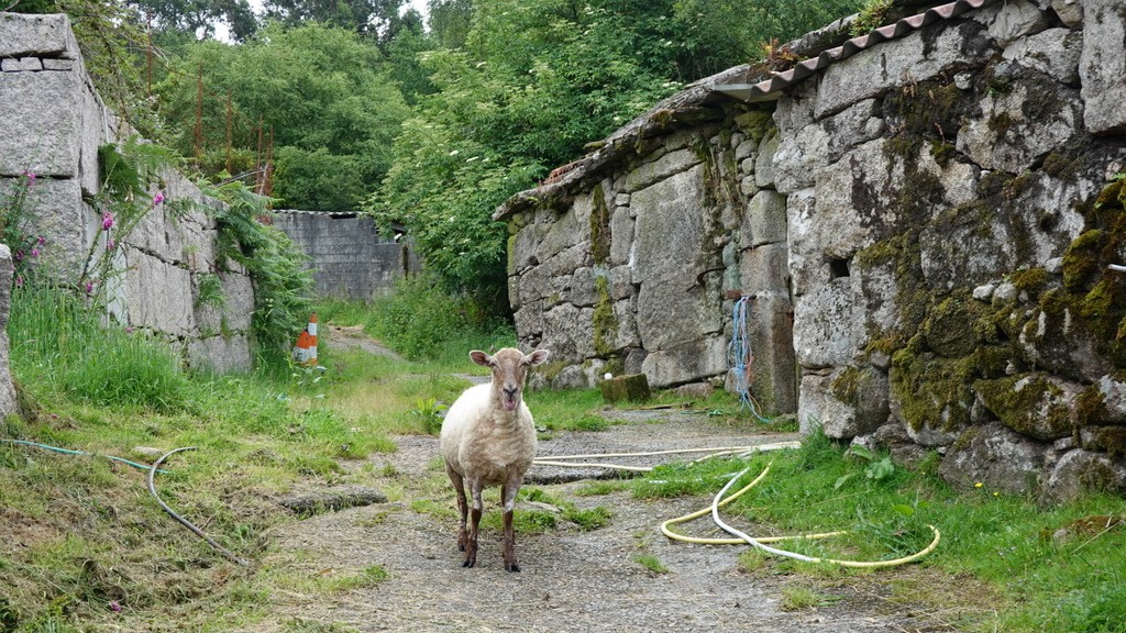 05. Santiago de Compostella - Porto (141)